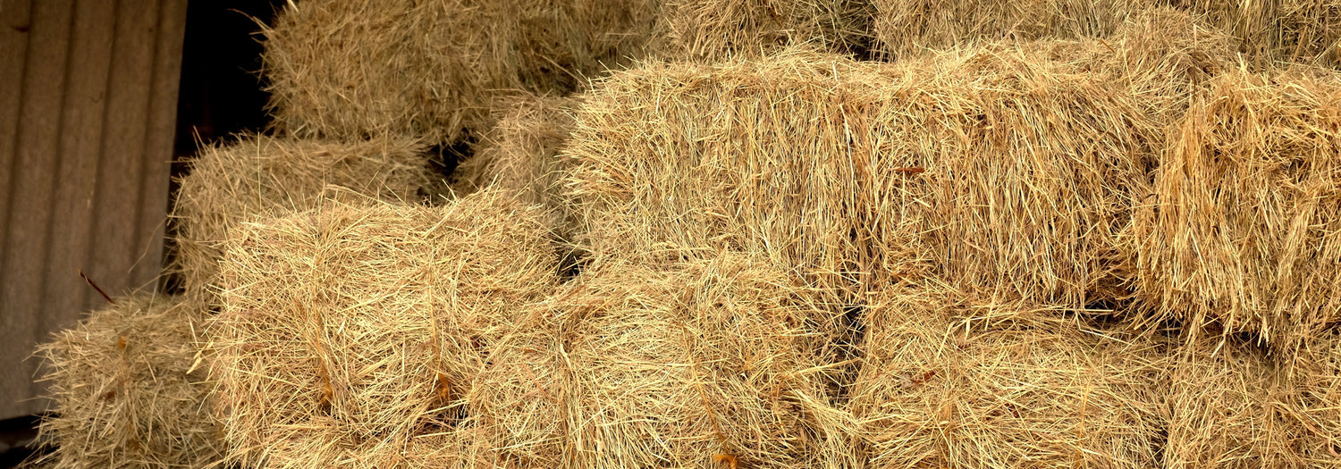 Dodson & Horrell Forage Analysis & FREE feeding review - How Do I Take Grass Samples? How Do I Take Hay, Haylage and Straw Samples? What should I do once I have collected my sample? 
