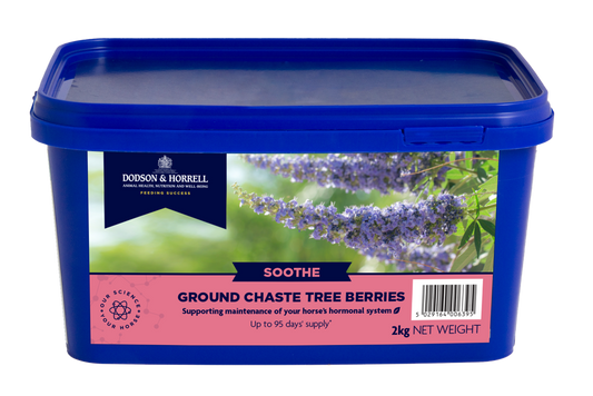 Ground Chaste Tree Berries 2kg