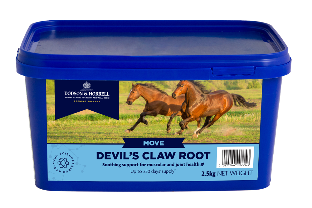 Devils Claw Root 2.5kg