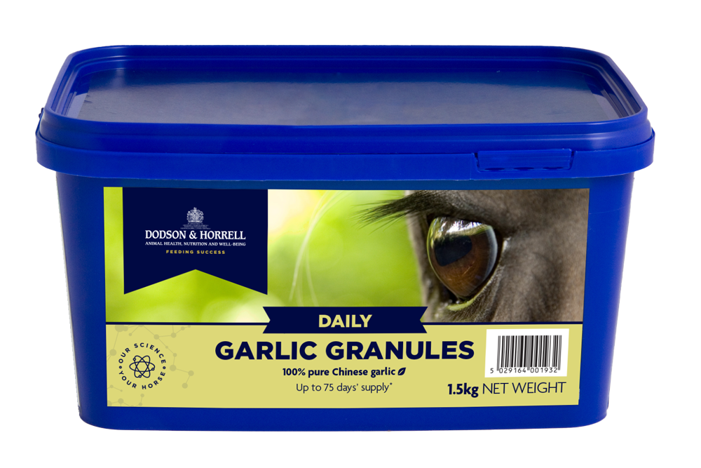 Garlic Granules 1.5kg