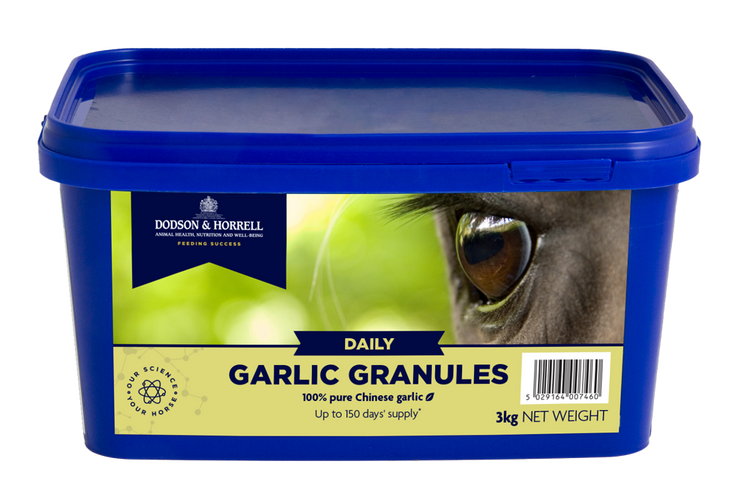Garlic Granules 3kg