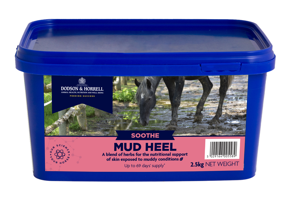 Dodson & Horrell Devils Claw Root Supplement for Horses