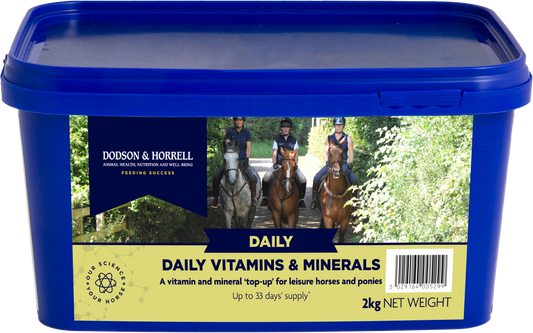 Daily Vitamins & Minerals