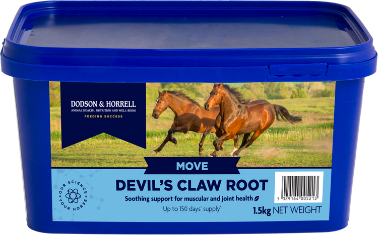 Devils Claw Root