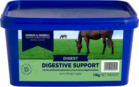 Digestive Support