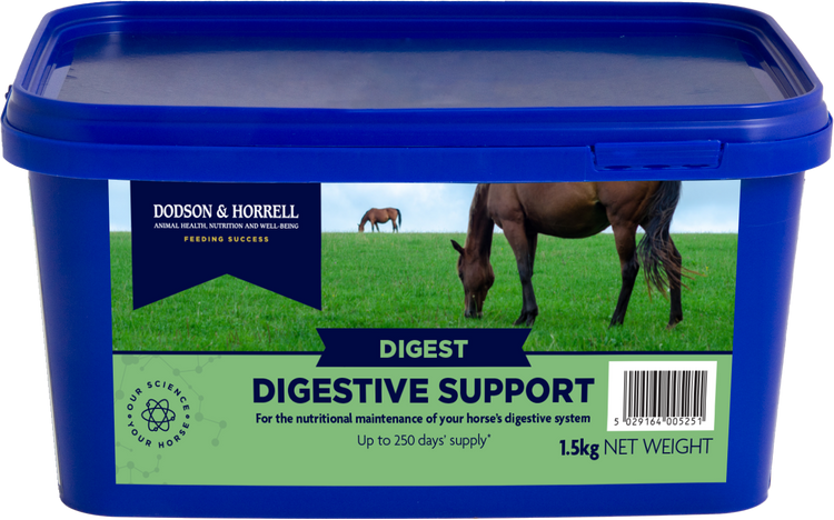 Digestive Support