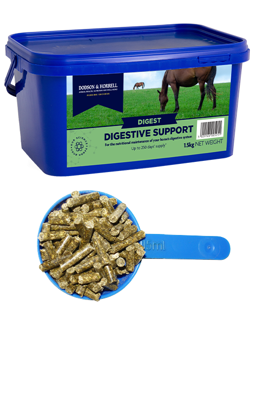 Digestive Support