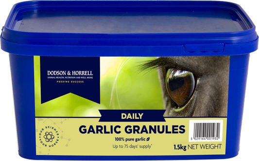 Garlic Granules