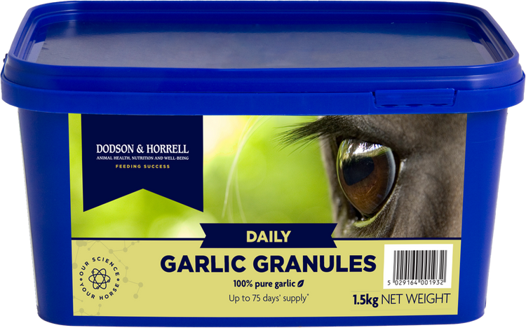 Garlic Granules