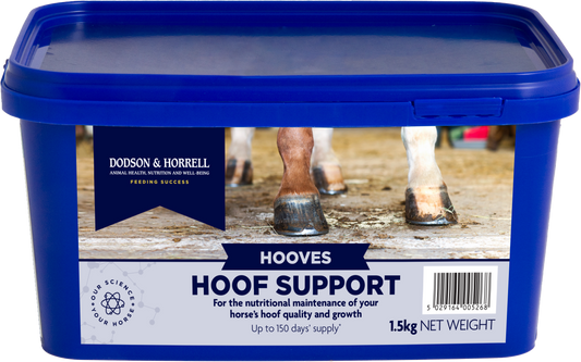 Hoof Support