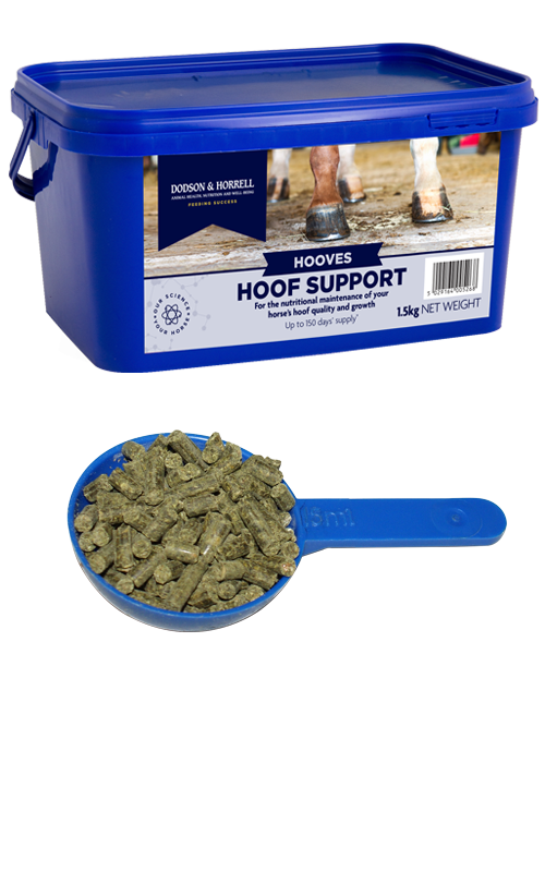 Hoof Support