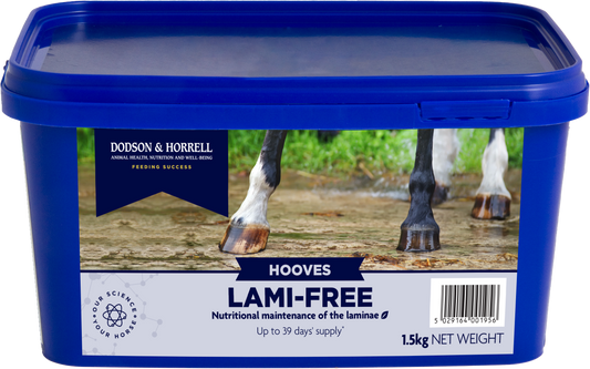 Lami-Free