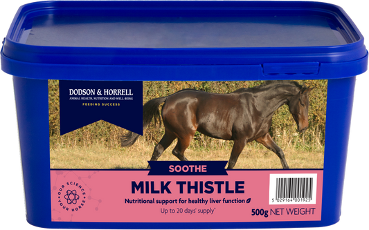 Milk Thistle