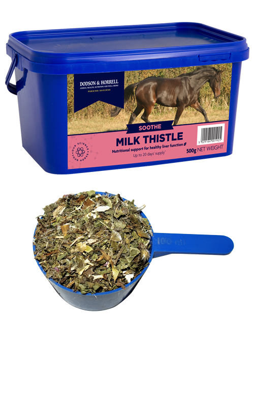 Milk Thistle