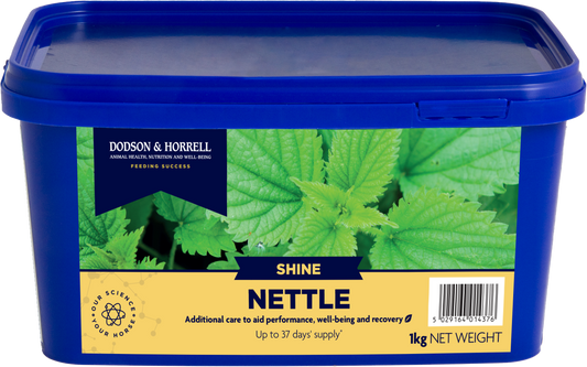 Nettle