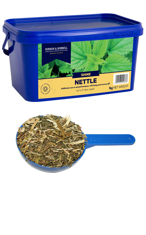 Nettle