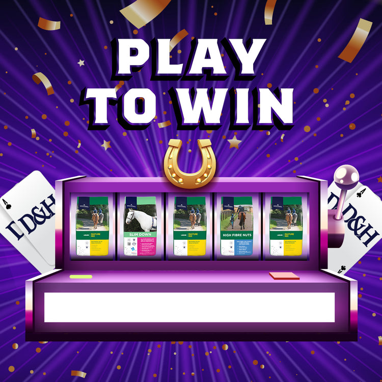 Play To Win Prize 2