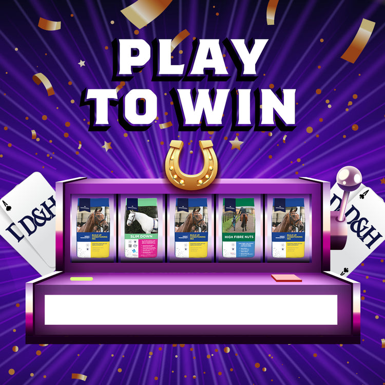 Play To Win Prize 3