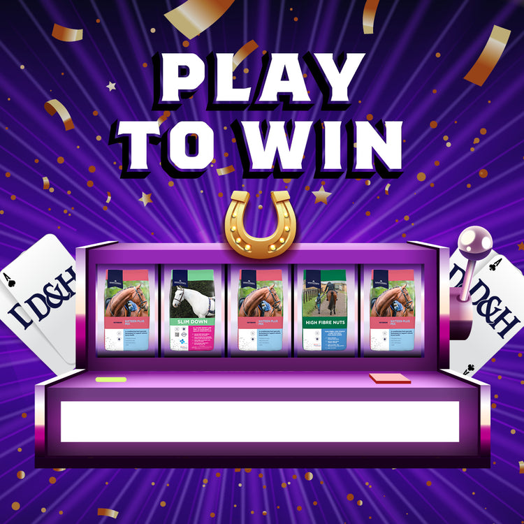 Play To Win: Prize 1