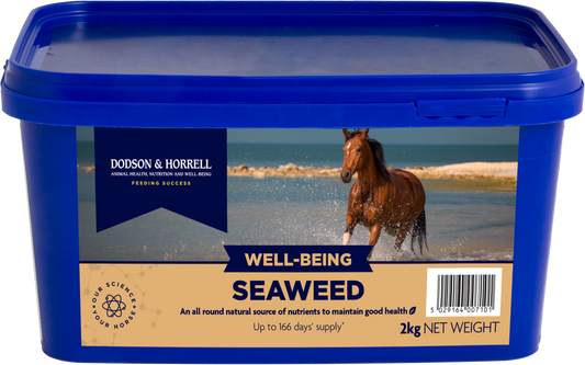 Seaweed