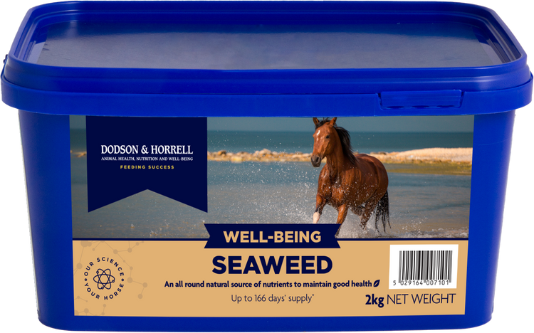 Seaweed