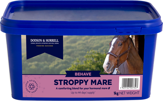 Stroppy Mare