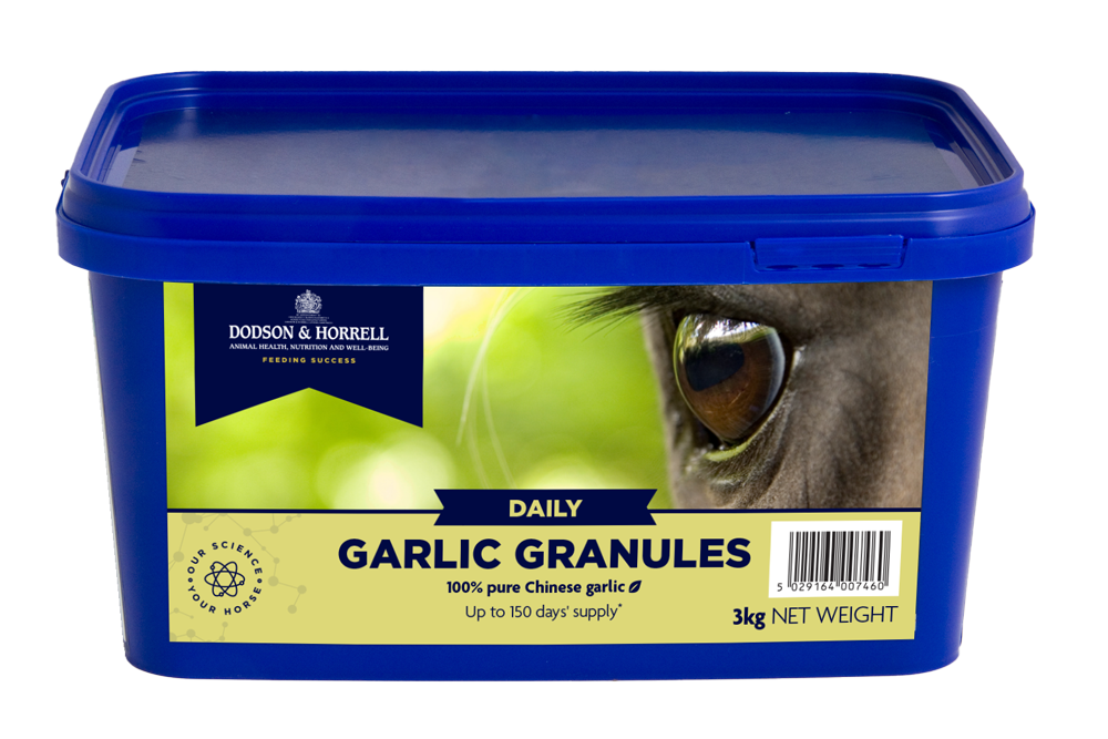 Garlic Granules 3kg
