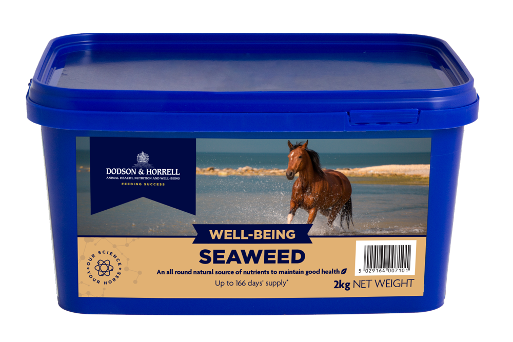 Seaweed 2kg
