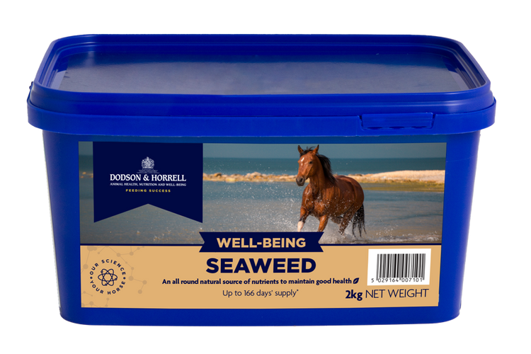 Seaweed 2kg