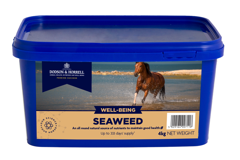 Seaweed 4kg
