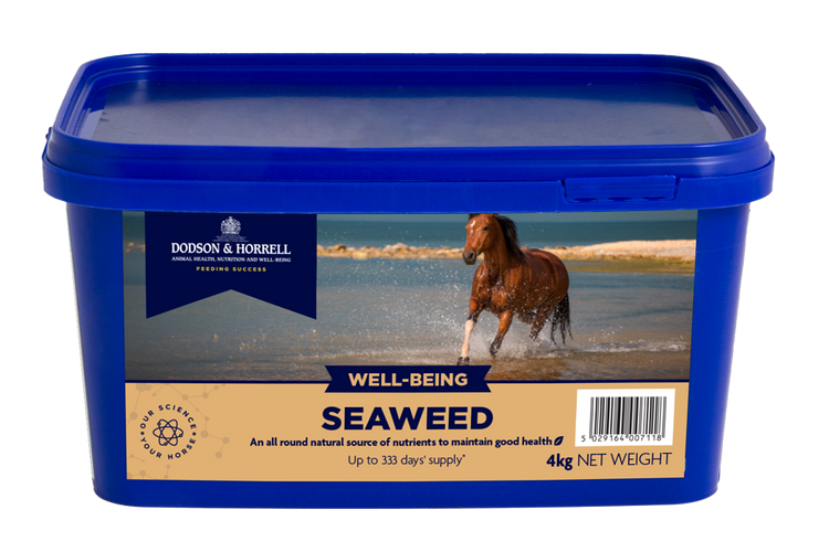 Seaweed 4kg